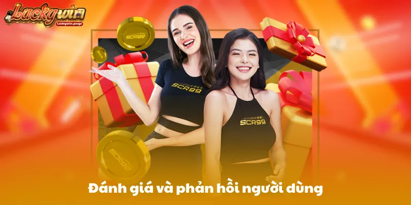Đánh giá và phản hồi người dùng